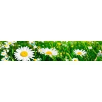 Панель для кухонного фартука ФАРТУКОФФ ФФ-306