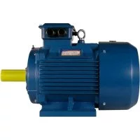 Электродвигатель 5АИ 200 М8 18.5/750 IM 1001