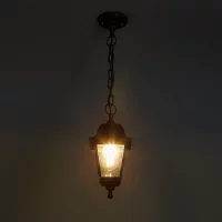 Светильник уличный подвесной PG32 60 Вт IP44 цвет черный