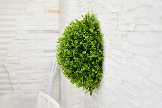 Искусственное растение Самшит ø18 см 2 полусферы