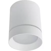 Потолочный светильник ARTE LAMP A1949PL-1WH