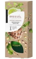 Ароматический диффузор Breesal Жизненная энергия 70 мл