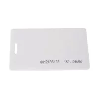 Карта доступа REXANT 46-0227