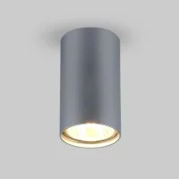 Накладной светильник Elektrostandard 1081