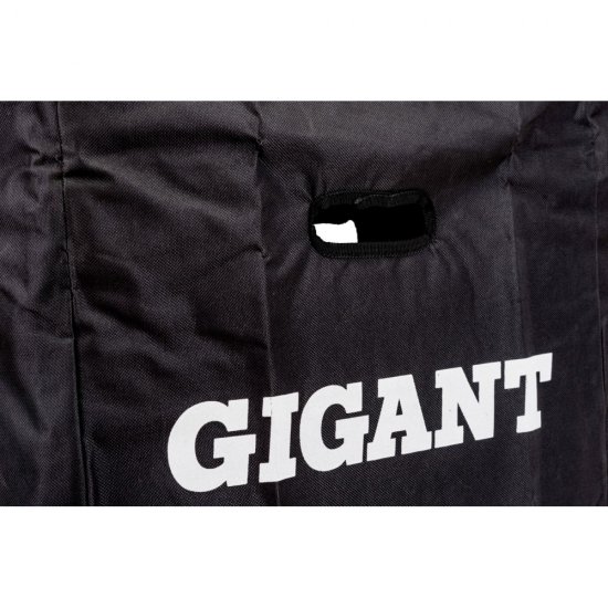 Телескопическая лестница Gigant LT-01 1x10