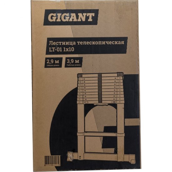 Телескопическая лестница Gigant LT-01 1x10