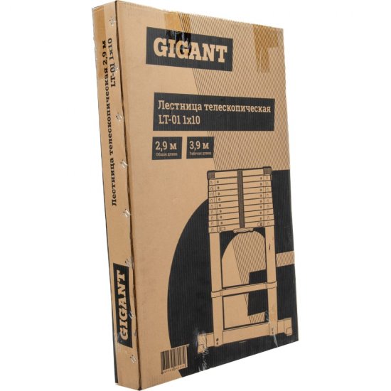 Телескопическая лестница Gigant LT-01 1x10