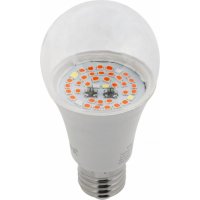 Лампа ЭРА FITO 14W RB E27