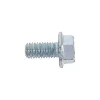 Оцинкованный болт ZAMETAL 10x20 DIN6921 200 шт