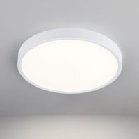 Стационарный светодиодный светильник Elektrostandard DLS034
