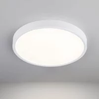Стационарный светодиодный светильник Elektrostandard DLS034
