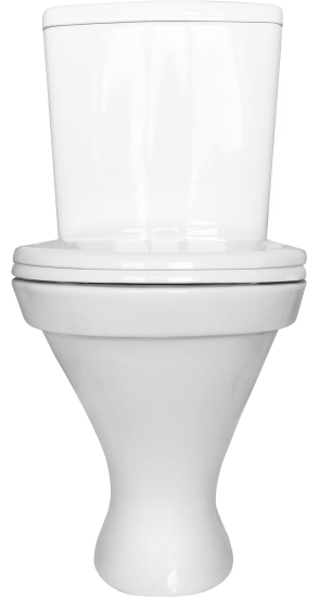 Унитаз-компакт Sanita Master косой выпуск двойной слив