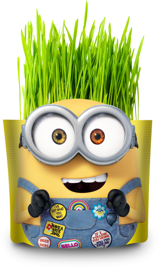 Семена Набор Миньоны «Дой-Пак»