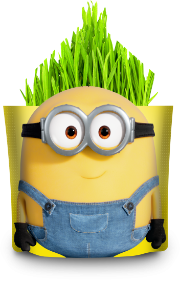 Семена Набор Миньоны «Дой-Пак»