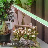 Фитосветильник линейный светодиодный Эра Fito 873 мм 14 Вт T5/G5 нейтральный белый свет