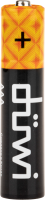 Аккумулятор Duwi Li-Ion LR03 AAA 450 мАч 1.5В 2 шт.