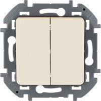 Двухклавишный выключатель Legrand INSPIRIA