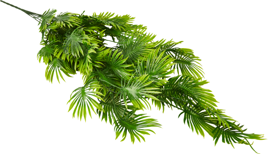 Искусственное растение Мюленбекия 60x7 см цвет зеленый ПВХ