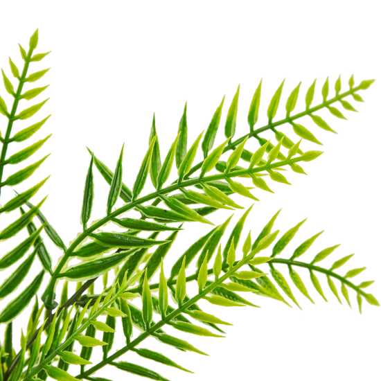 Искусственное растение Камнеломка 35x8 см цвет зеленый ПВХ