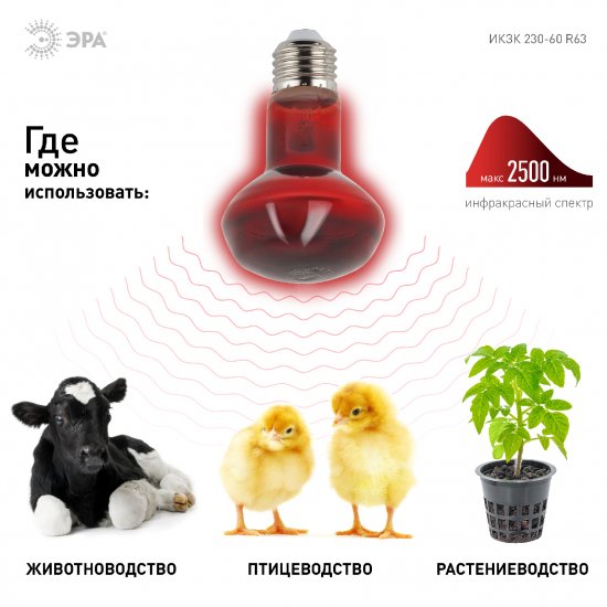 Инфракрасная лампа Эра для животных ИКЗК Е27 230-60 R63 Е27