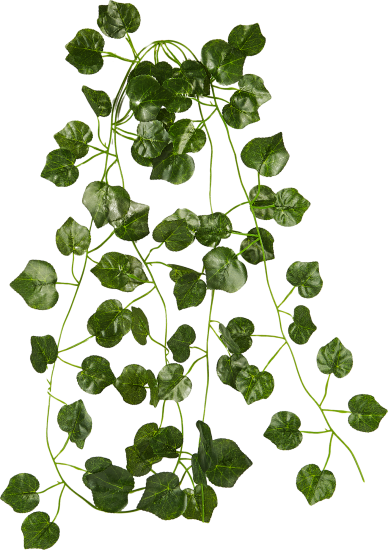 Искусственное растение Лиана Плющ вечнозеленый h230 см ПВХ цвет зеленый