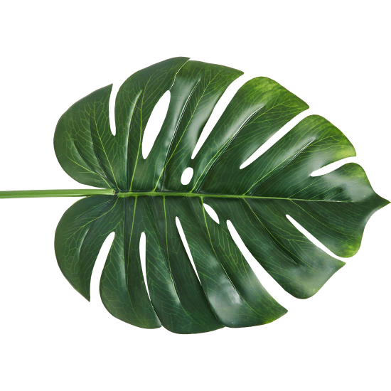 Искусственное растение Монстера ветка h72 см полиэстер зеленый
