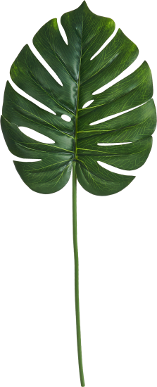Искусственное растение Монстера ветка h72 см полиэстер зеленый