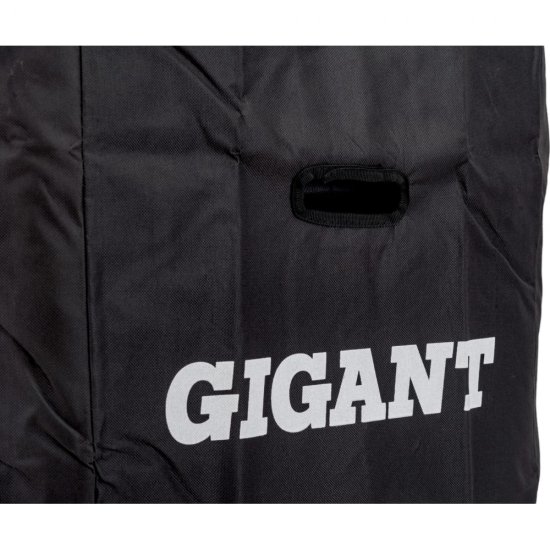 Телескопическая лестница Gigant LT-01 1x15