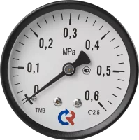 Манометр осевой Росма ТМ-310Т.00 6 бар 1/4