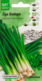Лук батун Агросидстрейд Фактор