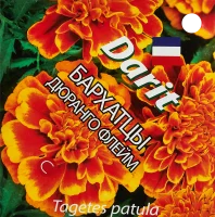 Семена цветов Дарит бархатцы Дюранго Флейм 10 шт.