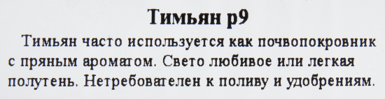 Тимьян ø9 h15 см