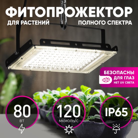 Фитопрожектор светодиодный Эра FITO-80W-Ra90 с подставкой 80 Вт светло-розового спектра влагостойкий