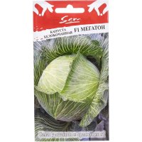 Белокочанная капуста капуста РУССКИЙ ОГОРОД Мегатон F1