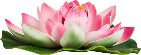 Цветок для водоема Ecotec Лотос пластик бело-розовый ø28 см