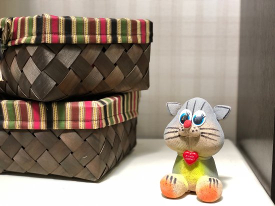 Набор для выращивания садовый Вырастайка Кот