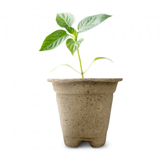 Горшок для растений Газонcity бумага 20 шт.