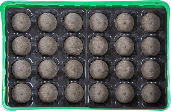 Набор для рассады с торфяными таблетками 24 шт