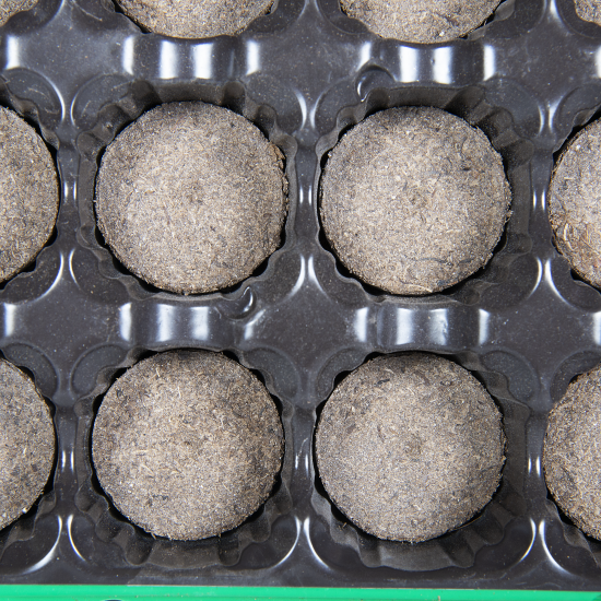 Набор для рассады с торфяными таблетками 24 шт