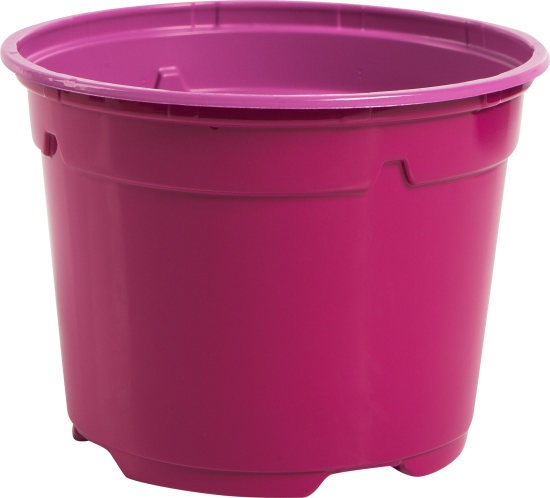 Набор для рассады с подставкой Радуга 10 шт