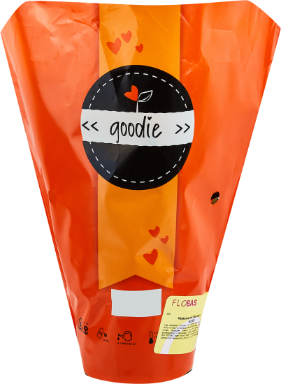 Каланхое Гуди микс ø10.5 h22.5 см