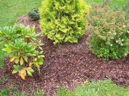 Кора сосны фракция 0-1 60 л