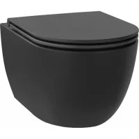 Безободковый подвесной унитаз Wellsee Chalice Perfection