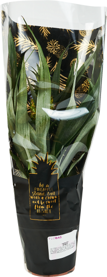 Ананас ø12 h35 см