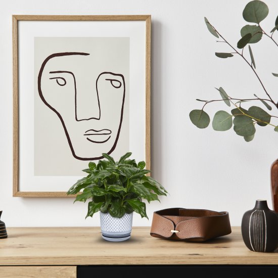 Кофе аравийское d13 h25