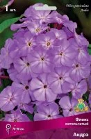 Флокс метельчатый Андрэ луковица I