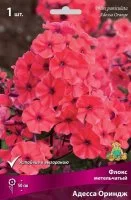 Флокс метельчатый Адесса Ориндж луковица I