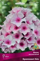 Флокс метельчатый Бриллиант Айз луковица I