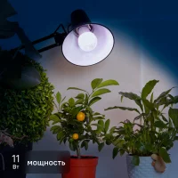 Фитолампа светодиодная для растений Эра 11 Вт E27 груша полноспектральный свет теплый белый