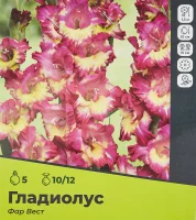 Гладиолус Фарвест луковицы 10/12, 5 шт.
